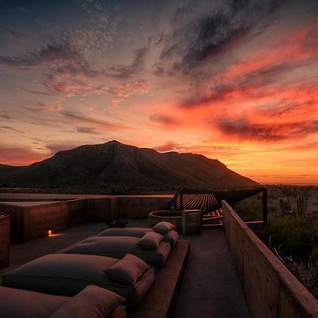 Paradero Todos Santos - Exclusive Experiences Included Εξωτερικό φωτογραφία