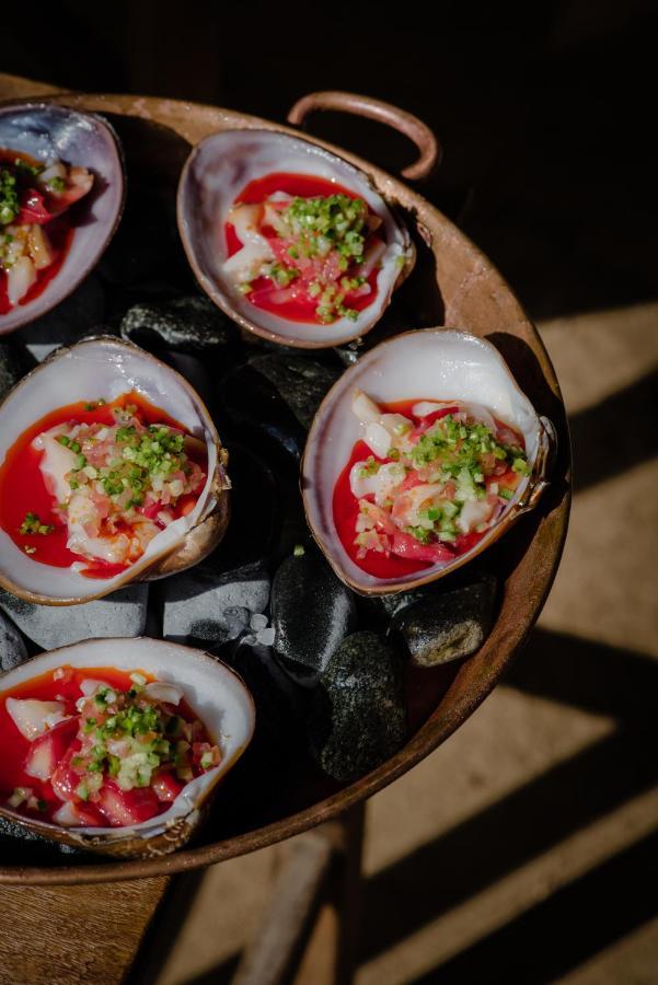 Paradero Todos Santos - Exclusive Experiences Included Εξωτερικό φωτογραφία