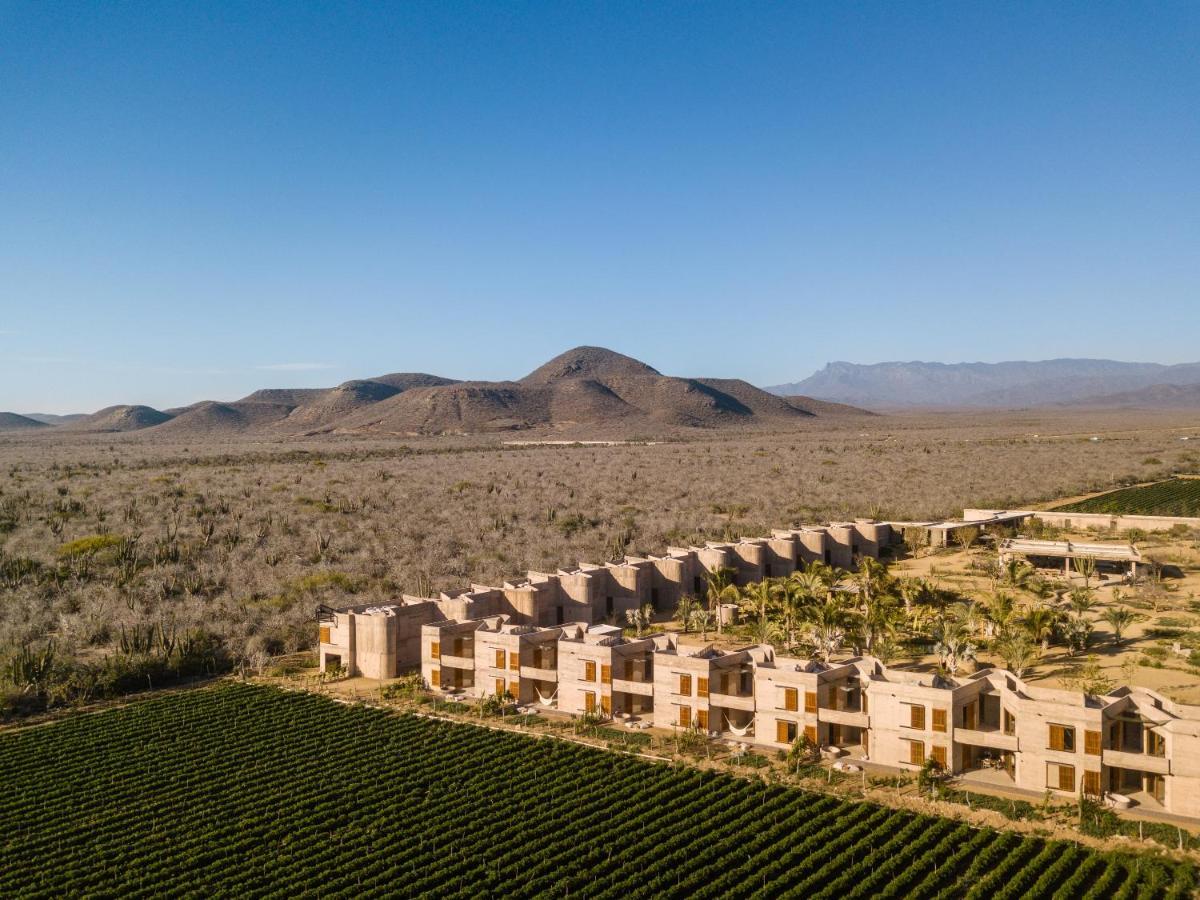 Paradero Todos Santos - Exclusive Experiences Included Εξωτερικό φωτογραφία