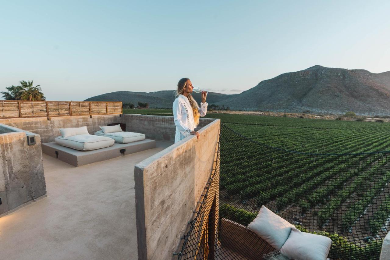 Paradero Todos Santos - Exclusive Experiences Included Εξωτερικό φωτογραφία